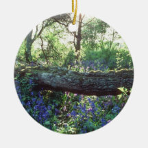 Yellow Bluebell wood, Howe Park Wood, Milton Keyne Christmas Ornaments