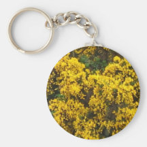 Yellow Broom Keychains