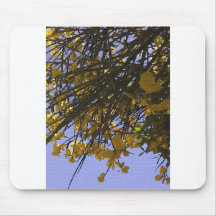 Yellow Broom Mousepads