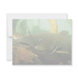 Yellow Bullhead Invites