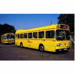 Yellow buses, London, England photo sculptures