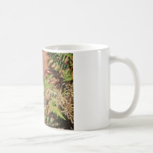 Yellow Butterfly Coffee Mug
