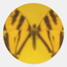 yellow butterfly stickers