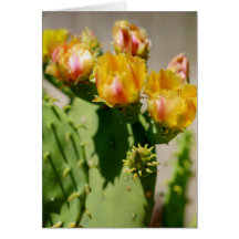 Yellow Cactus Bloom  Blank Card