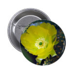 Yellow cactus flower and meaning pin