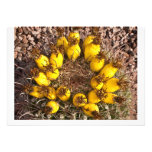 Yellow Cactus Invitation