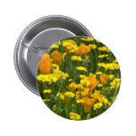 yellow California poppies and goldfields flowers Pinback Button
