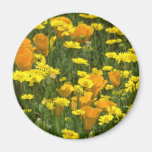 yellow California poppies and goldfields flowers Refrigerator Magnets