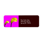 Yellow Calla Lilies with Pink Return Label