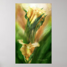 Yellow Callas In Calla Vase Art Poster/Print
