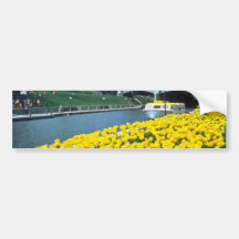 yellow Canadian Tulip Festival, Rideau Canal, Otta Bumper Stickers