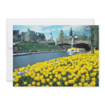 yellow Canadian Tulip Festival, Rideau Canal, Otta Custom Invitation
