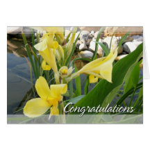 Yellow Canna Lily Congratulations Card