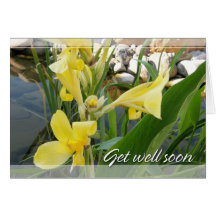 Yellow Canna Lily Get Well Soon Card