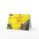Yellow Canna Lily Note Card
