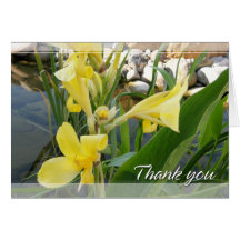 Yellow Canna Lily Thank You Card
