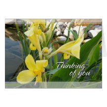 Yellow Canna Lily Thinking of You Card