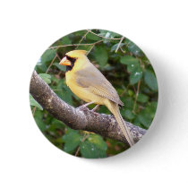 Yellow Cardinal Pin