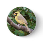 Yellow Cardinal buttons