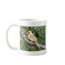 Yellow Cardinal Mug