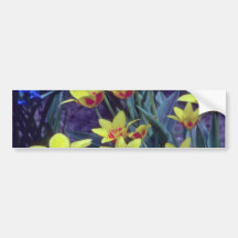 yellow Cesar Frank Tulip, (Tulipa Kaufmanniana) fl Bumper Stickers