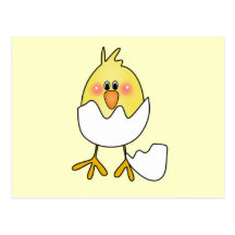 Yellow Chick Hatching From Egg Postcard