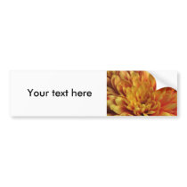Yellow Chrysanthemum Bumper Stickers