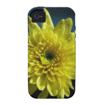 Yellow Chrysanthemum Case-Mate iPhone 4 Case