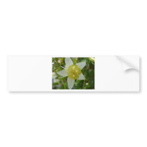yellow columbine 2 bumper sticker