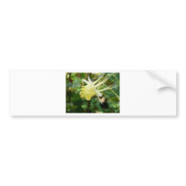 yellow columbine bumper stickers