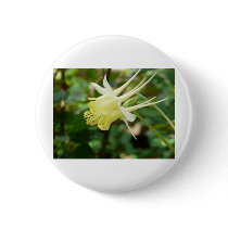 yellow columbine pinback buttons