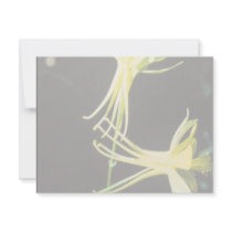 Yellow Columbine Custom Announcement