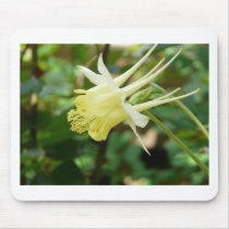 yellow columbine mousepads