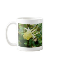 yellow columbine coffee mug