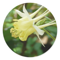 yellow columbine sticker