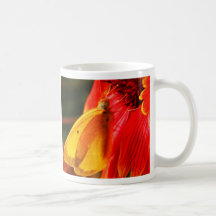 Yellow Common Butterfly Coffee Mugs