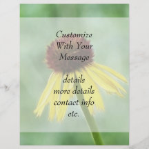 Yellow Coneflower - Echinacea Paradoxa Flyers