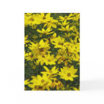 Yellow Coreopsis Flowers Greeting Card
