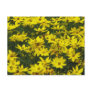 Yellow Coreopsis Flowers Postcard