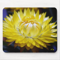 Yellow Cornflower Mouse Pads