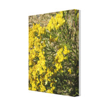 Yellow Coulee Wildflowers Nature Photo Canvas Wrap canvas prints