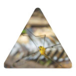 Yellow Cranefly Triangle Stickers