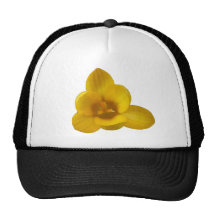 Yellow Crocus Hat