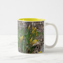 Yellow Crocus Mug