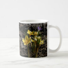 Yellow Crocus mug