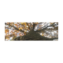 Yellow Cross Tree Canvas Prints