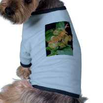 yellow Cup and saucer (Holmseioldia manguinea) flo Pet Tee Shirt
