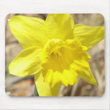 Yellow Daffodil Flowers Mouse Pad