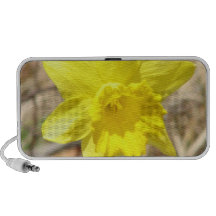 Yellow Daffodil Speakers