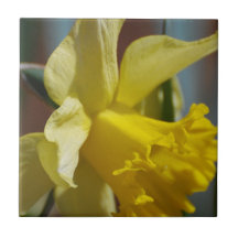 Yellow Daffodil Tiles